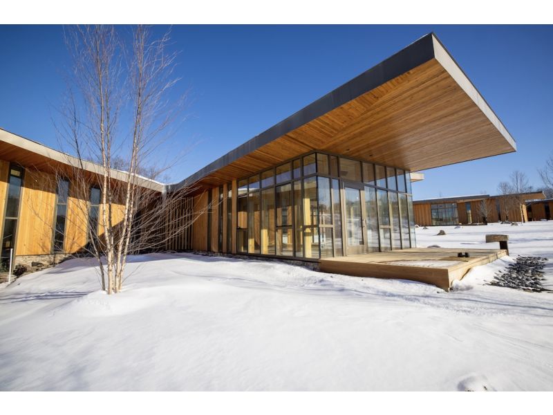 Mass Timber, A New Frontier in Commercial Building 